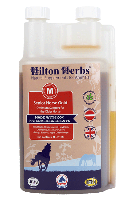 Hilton Herbs Senior Horse Gold Liquid