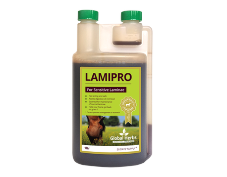 Global Herbs – LamiPro Liquid