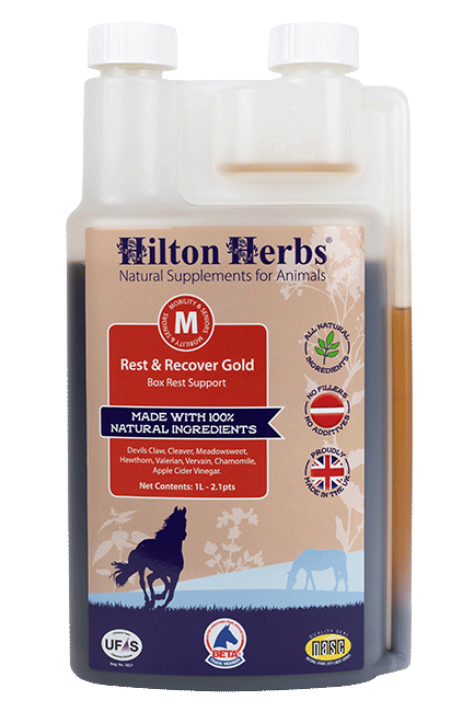 Hilton Herbs Rest & Recover Gold