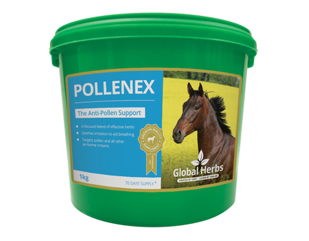 Global Herbs – PolleneX Powder