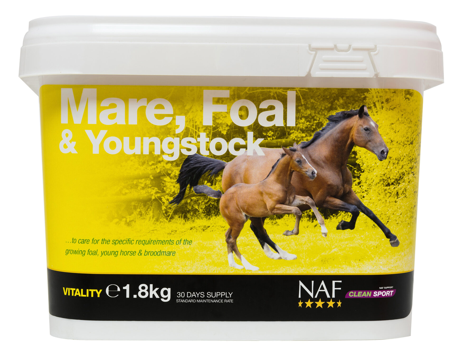 mare_foal_young_1.8kg
