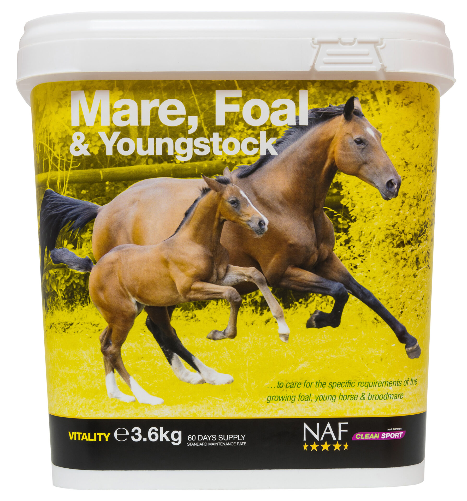 mare_foal_young_3.6kg