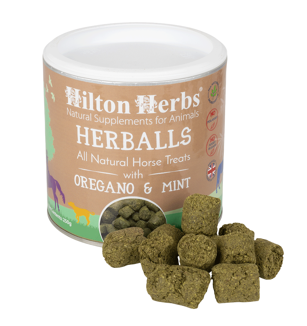 Hilton Herbs Herballs Treats