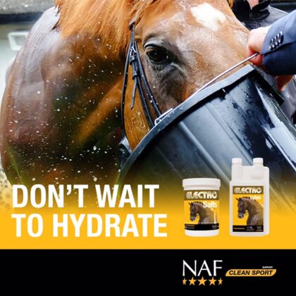 NAF-ElectroSalts-social-post-22