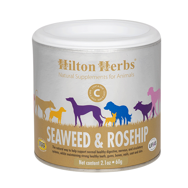 Hilton Herbs Canine Seaweed & Rosehip
