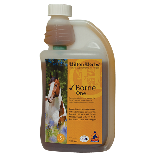 Hilton Herbs ✔ BORNE ONE – 500ml