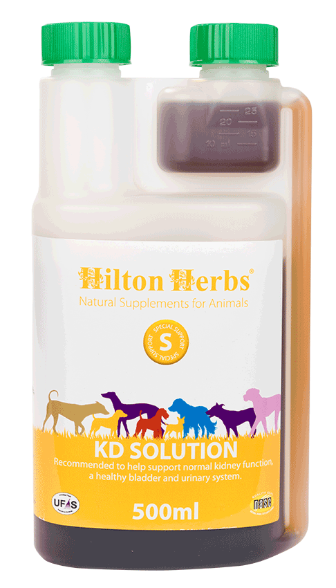 Hilton Herbs KD Solution for Dogs