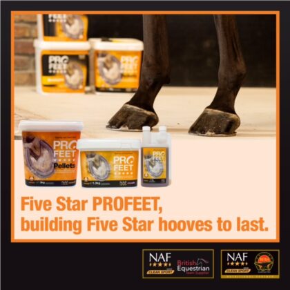 profeet-Building Hooves to Last-social-22-Layout 1 (V)