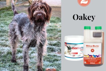 Oakey ea cortaflex and releaf