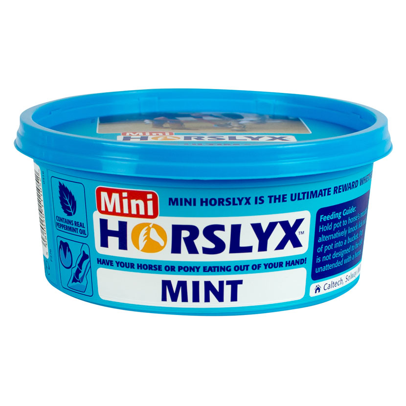 Horslyx Mint Balancer Lick