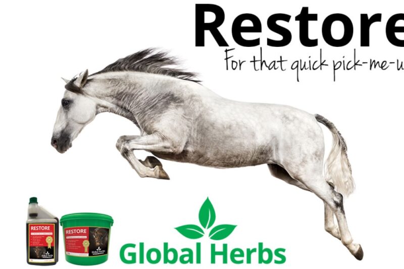 The Equine Liver – and how Global Herbs Restore can help