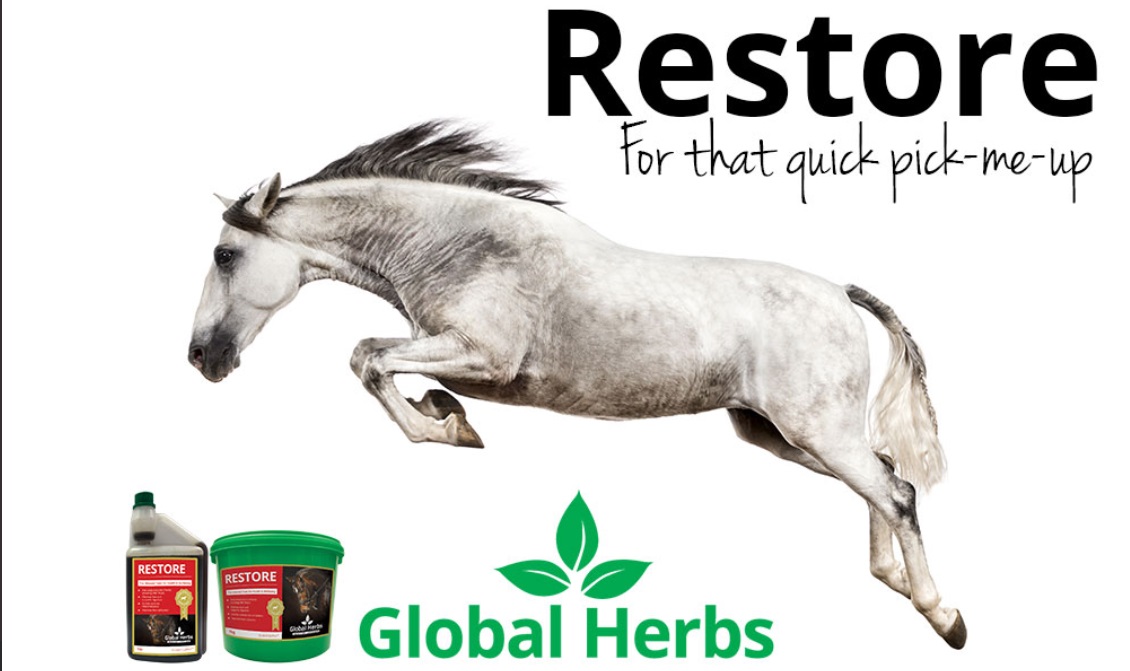 The Equine Liver – and how Global Herbs Restore can help