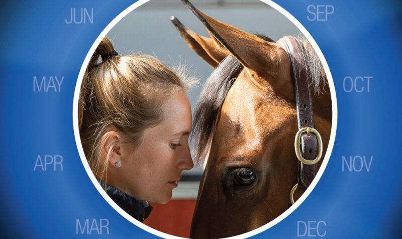 Harness the Girl Power – Maximising your mare’s comfort, focus and potential